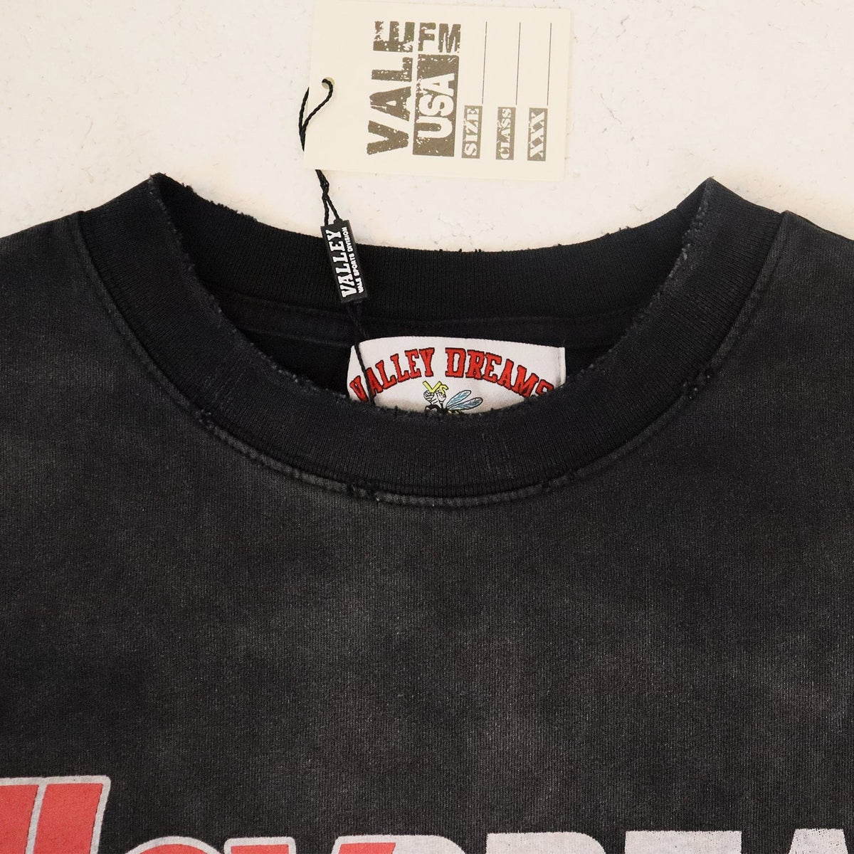 Valley Dreams World Peace Graphic T-Shirt
